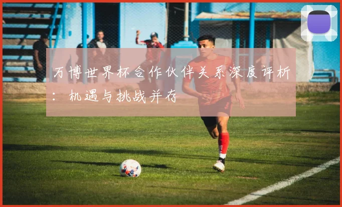 万博世界杯合作伙伴关系深度评析：机遇与挑战并存