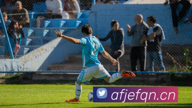 世界杯指定官网平台生态图